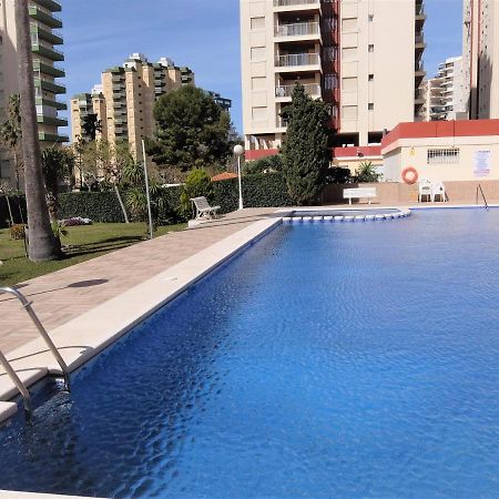 Apartmán Don Ximo Gandia - Alquiler Solo Familias Playa de Gandia Exteriér fotografie