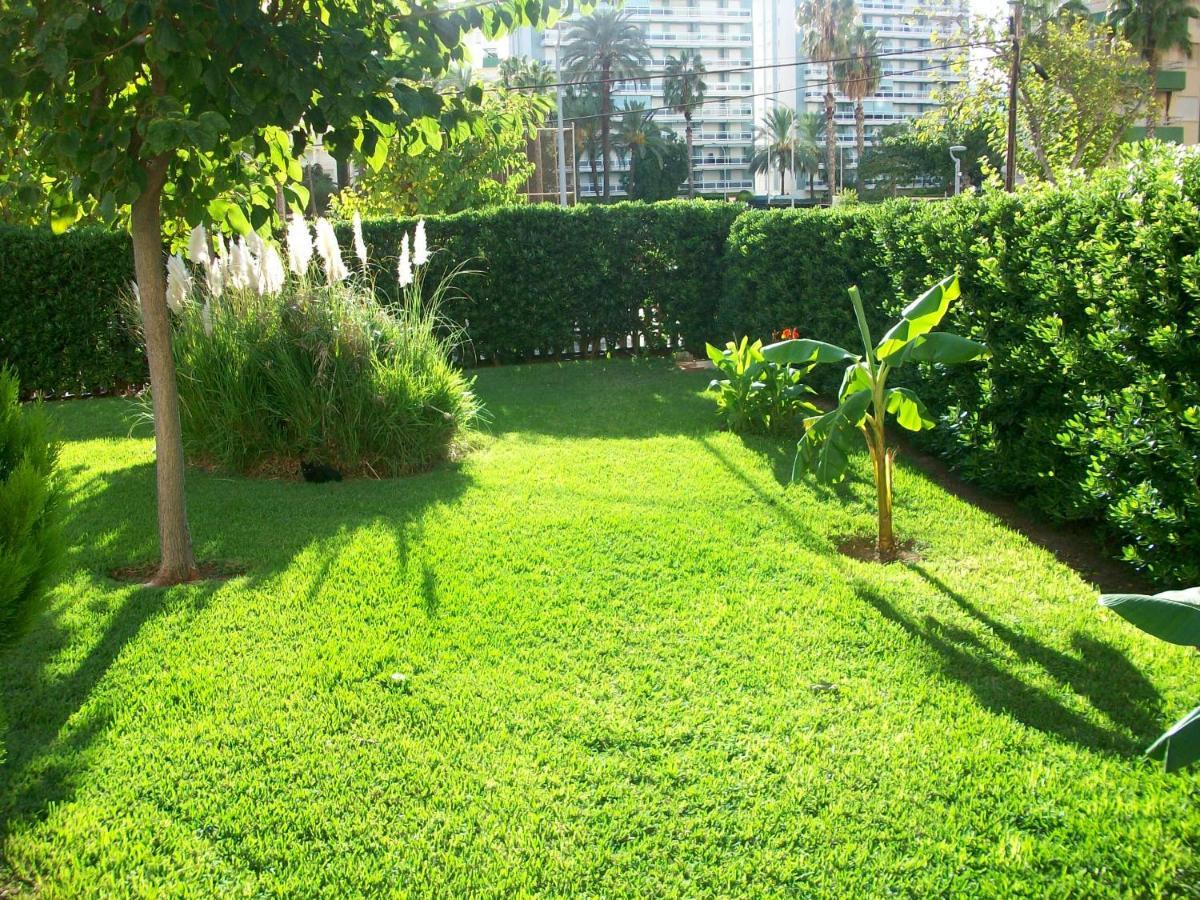 Apartmán Don Ximo Gandia - Alquiler Solo Familias Playa de Gandia Exteriér fotografie